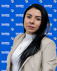 Perfil